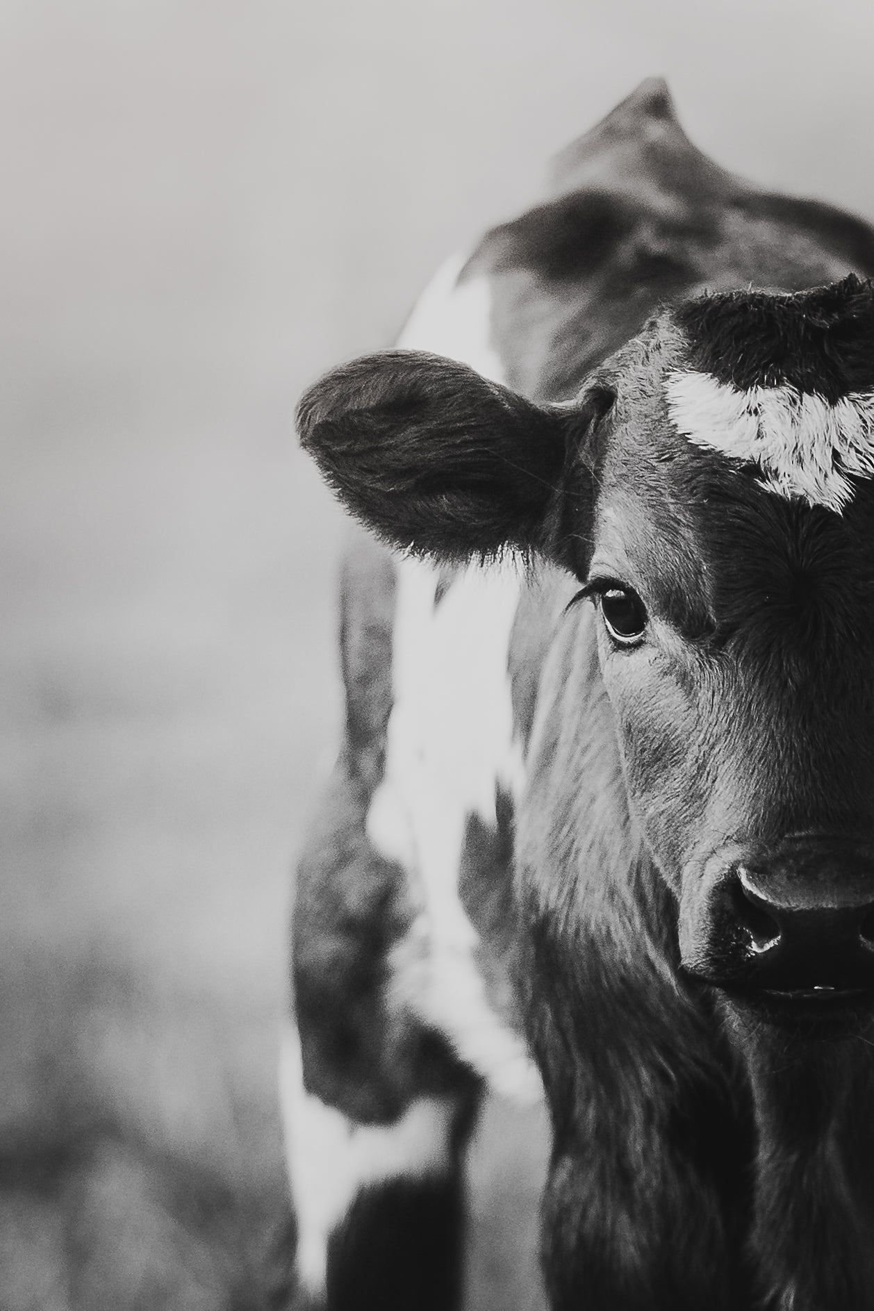 "HALF HEART" Black + White