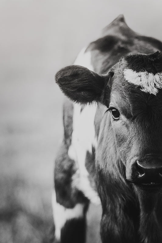 "HALF HEART" Black + White