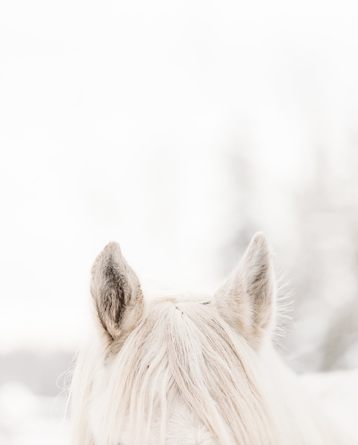 "WINTER WHISPER" Hanging Canvas