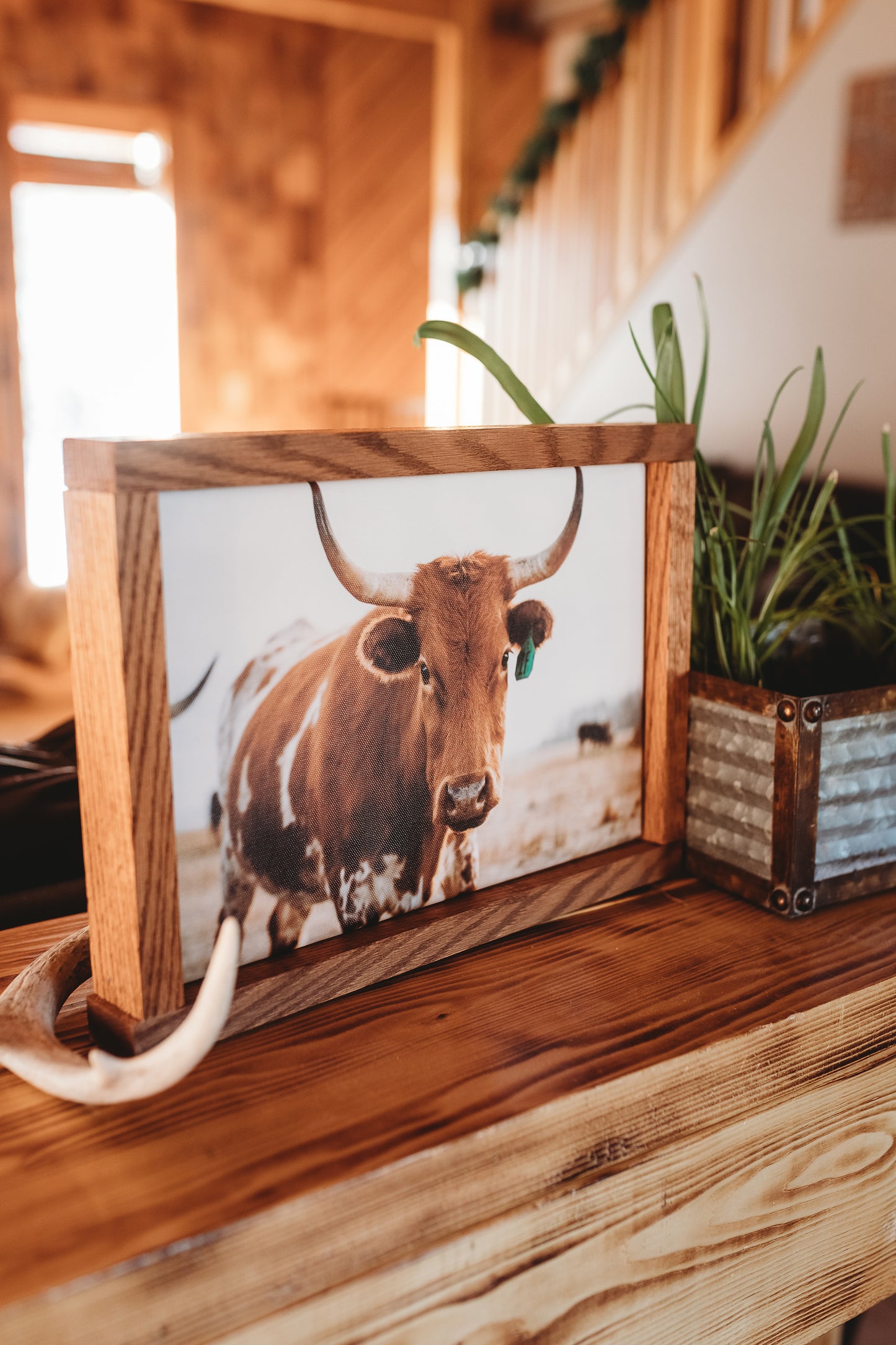 "CURIOUS 1" Framed Canvas