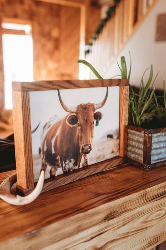 "CURIOUS 1" Framed Canvas