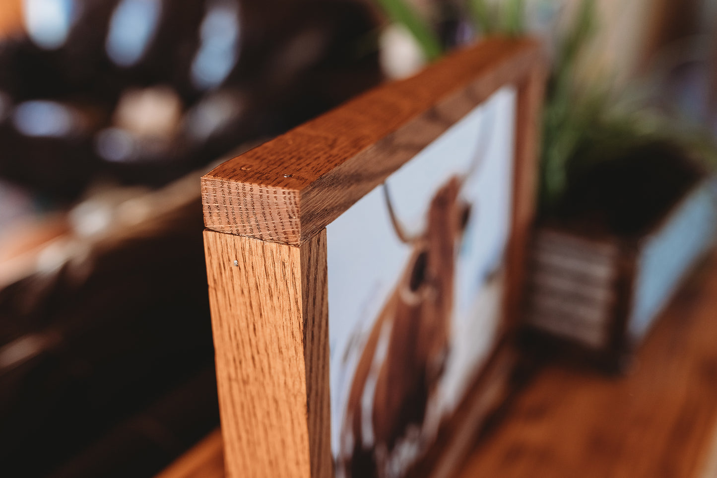 "CURIOUS 1" Framed Canvas