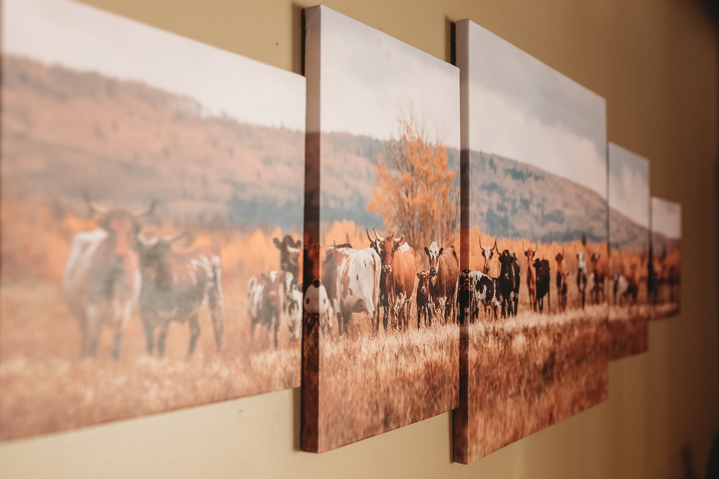 Split Canvases *MADE TO ORDER*